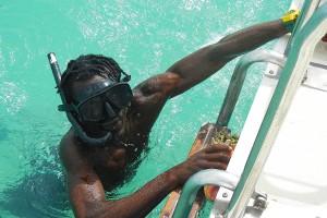 catching a conch turks and caicos