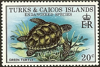 Sea Turtle stamp turks and caicos