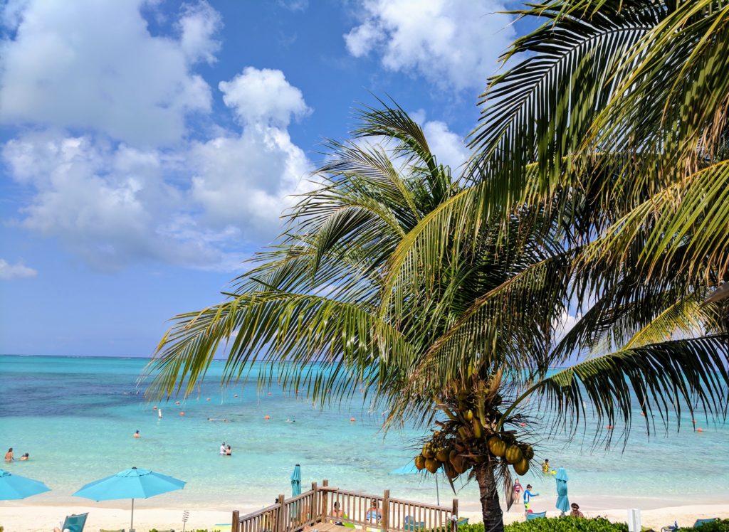 snorkeling on Providenciales Bight Beach