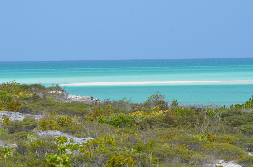 Turks and Caicos blue water