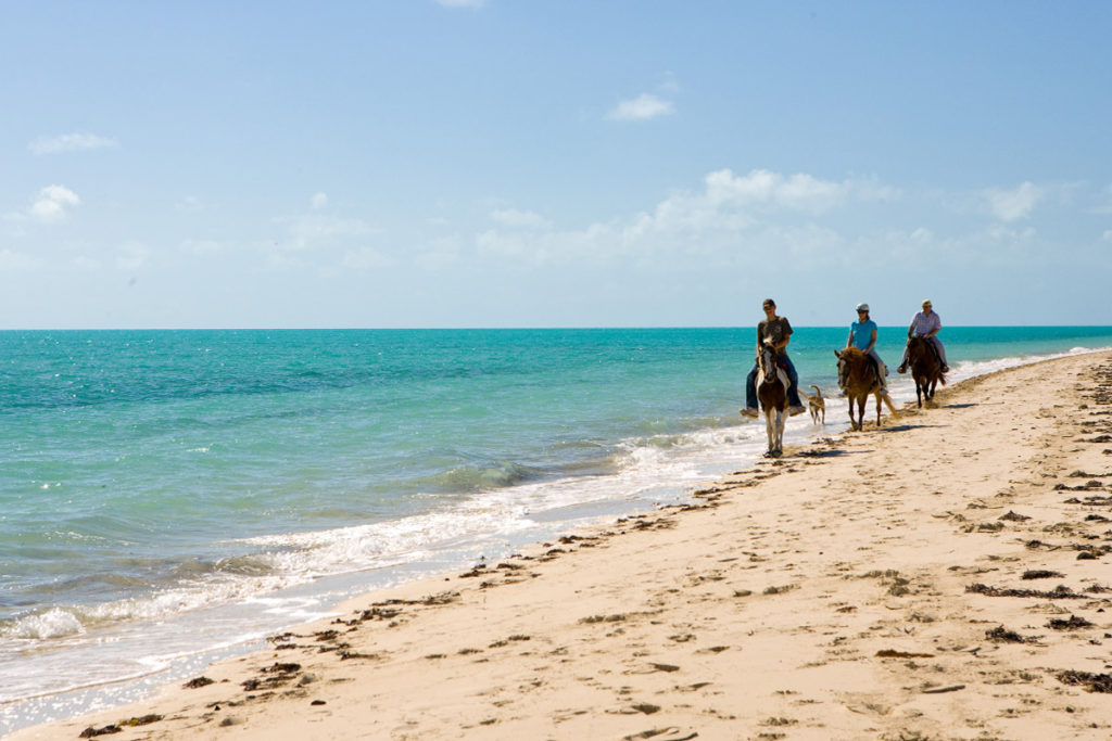 Horseback Riding In Providenciales