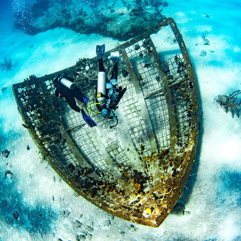 Scuba Dive Inside A Thunderdome At “Le Tresor de Pago Pago”