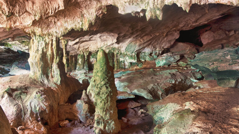 Visiting The Conch Bar Caves