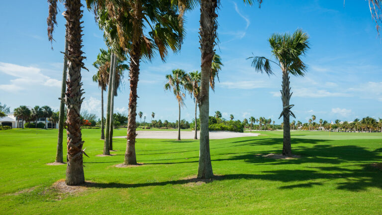 Paradise Unleashed: The Royal Turks & Caicos Golf Club
