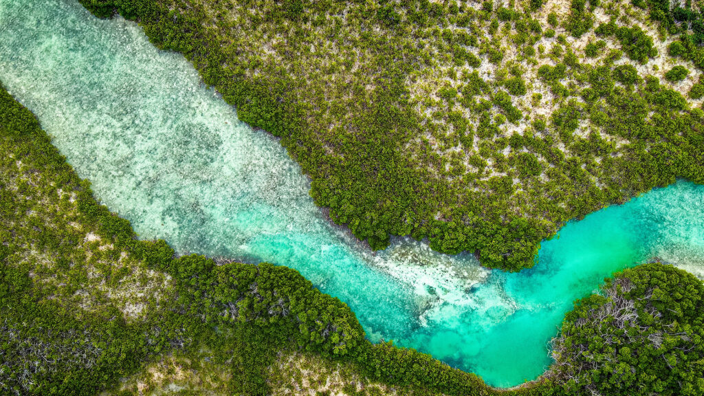 Aerial view of a natural turquoise sea water channel that runs through a red mangroves swamp of the Princess Alexandra National Park in the Turks and Caicos Islands